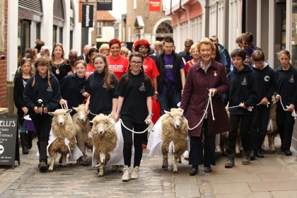 Sheep Driving 2015 - Redhouse Nursing Home