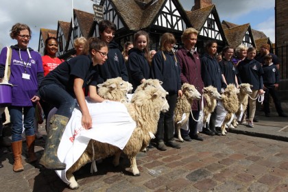 Sheep Driving 2015 - Redhouse Nursing Home