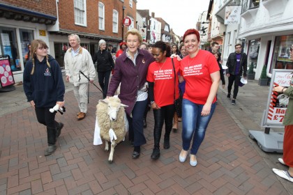 Sheep Driving 2015 - Redhouse Nursing Home