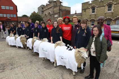 Sheep Driving 2015 - Redhouse Nursing Home